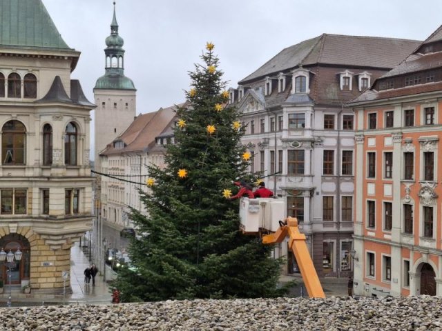 Alternativer Text Infobild