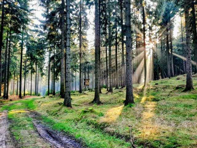 Alternativer Text Infobild